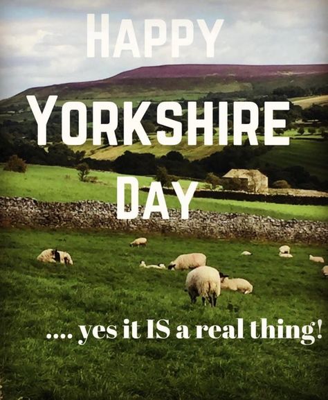 Yes it’s Yorkshire Day ( I don’t recall ever having an Essex or Suffolk day when I lived there??)… A celebration of all things Yorkshire and our local WI will be dishing up a Yorkshire Pud lunch along with fruitcake and of course Wensleydale cheese…. There will be a few flags and of course bunting and general conviviality up in our Dale! Enjoy Y’all! #yorkshireday #wensleydalecheese #coverdale #yorkshirepudding #rurallife #countrylife #community #womensinstitute #cake #loveyorkshire Wensleydale Cheese, Yorkshire Day, Womens Institute, Yorkshire Pudding, Rural Life, Fruit Cake, Country Life, Bunting, Yorkshire