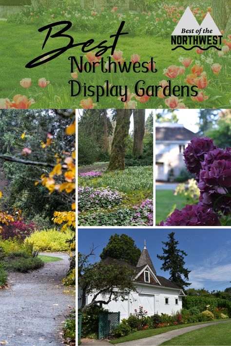 Lawn Free Front Yard, Pnw Garden, Pnw Travel, Pacific Northwest Garden, Gardening For Dummies, Natural Landscaping, Seaside Garden, Western Washington, Travel Finds