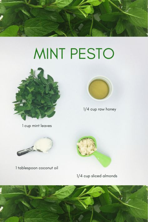 Minty Desserts, Mint Pesto, Pesto Recipes, Coconut Milk Ice Cream, Lectin Free, How To Make Guacamole, Plant Paradox, Mint Recipes, Dessert Easy