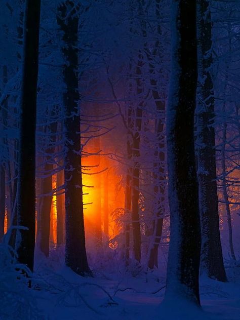 Woods of winter, Franconia, Germany | by amohamadmalik1 Winter Sunrise, Winter Szenen, Charcoal Drawings, Tall Trees, Winter Wonder, Pics Art, Postmodernism, Winter Scenes, Sun Moon