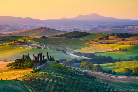 Belvedere in San quirico d’orcia, Tuscany. Tuscany Landscape, Tuscan Landscaping, Italy Landscape, Watercolour Landscape, Fine Art Landscape Photography, Italian Landscape, Wall Pictures, Landscape Scenery, Green Landscape