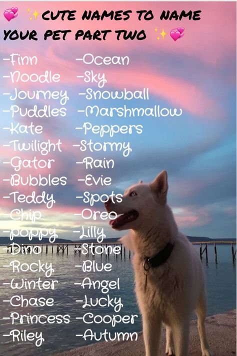 Preppy Adopt Me Pet Names, Lemme Do It For You Dog, Beach Dog Names, Cute Dogs Name, Adopt Me Pet Names, Preppy Dog Names, Pet Names For Girlfriend, Creative Dog Names, Pet Names For Dogs