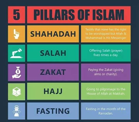 5 pillars of Islam 5 Pillars Of Islam, Five Pillars Of Islam, Daily Hadith, Arabic Learning, Muslim Kids Activities, 5 Pillars, Islamic Kids Activities, History Of Islam, Pillars Of Islam