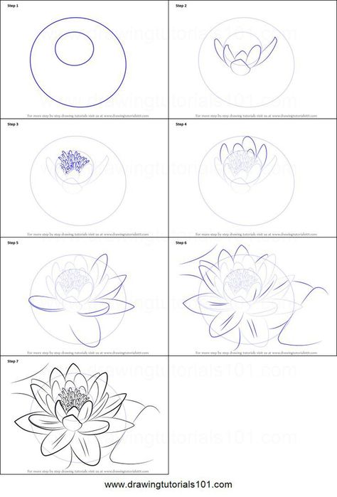 How to draw a flower How To Draw A Water Lily Step By Step, How To Draw A Water Lily, Koi Fish Drawing Step By Step, How To Draw Lotus, How To Draw A Koi Fish, Water Lily Drawing, Hur Man Ritar Blommor, Lily Drawing, Lotus Flower Drawing