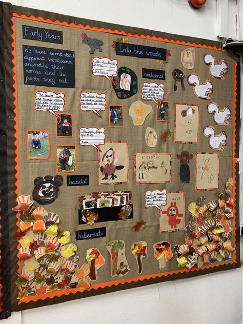 Regio Classroom, Classroom Displays Ks2, Early Years Displays, Nursery Display Boards, Classroom Display Boards, Display Boards For School, Year 1 Classroom, Dinosaur Classroom, Owl Babies