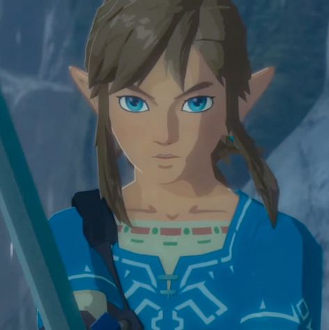 Link Zelda Reference, Link Pfp Zelda Botw, Link Pfp Breath Of The Wild, Loz Breath Of The Wild, The Legend Of Zelda Characters, Link Legend Of Zelda Breath Of The Wild, The Legend Of Zelda Pfp, Link Zelda Breath Of The Wild, Link Profile Picture