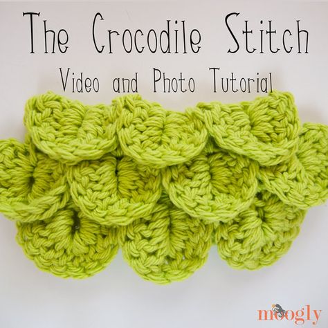 Crochet Crocodile Stitch Pattern, Boy Crochet Patterns, Mattress Stitch, Crocodile Stitch, Crochet Patterns Free Blanket, Fingerless Mittens, Crochet Stitches Tutorial, Crochet Stitches Patterns, Crochet Stitch