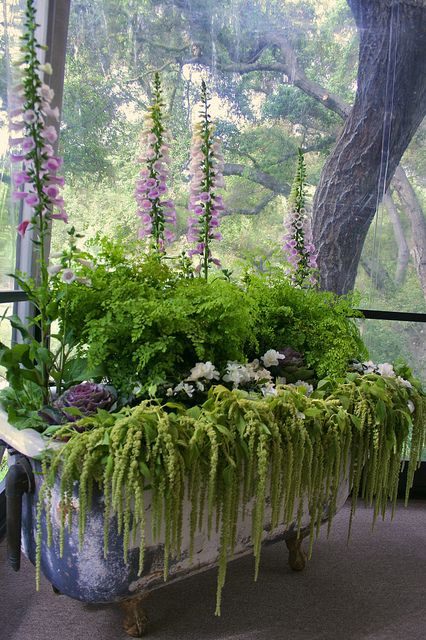 vintage bath tub planter    The designer for the Pasadena Showcase House restaurant, Corianne Bright, put together this lovely planting in an old vintage footed bath tub, it was really lovely. Garden Bathtub, Lots Of Plants, Garden Container, Upcycle Garden, Cottage Exterior, Have Inspiration, Garden Containers, The Secret Garden, Garden Oasis