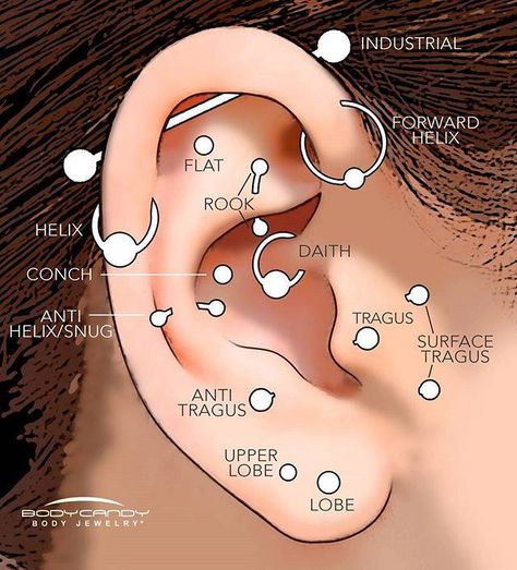 tipos de piercing en la oreja Ušný Piercing, Ear Piercing Names, Piercing Bouche, Different Ear Piercings, Men's Piercings, Types Of Ear Piercings, Helix Piercings, Forward Helix Piercing, Cool Ear Piercings