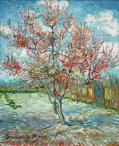 Vincent van Gogh, Pink peach trees (Souvenir de Mauve) | Flickr Vincent Willem Van Gogh, Peach Tree, Arte Van Gogh, Modern Art Decor, Van Gogh Paintings, Peach Trees, Van Gogh Art, Post Impressionism, Famous Art