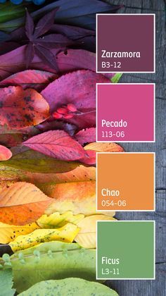 Current Color Trends 2023, 4 Tone Color Palette, Color Contrast Palette, Colors That Pop Together, Unusual Color Combinations Colour Palettes, Colour Pallete Inspiration 2023, Color Pallets 4 Colors, Color Palette Fuschia, 2023 Color Pallette