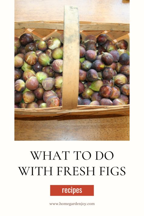 What to do with fresh figs? You can eat them fresh, of course, but how about making them into a cake? Enjoying them as a salad? Or poaching them into a delicious and inviting dessert? A roundup of recipes for fresh figs with links to help you grow your own figs! #figs #freshfigrecipes #recipes via @sevenoaksjeanne Preserving Whole Figs, What To Do With Fresh Figs, What To Make With Fresh Figs, Recipes Using Fresh Figs, What To Do With Figs, Fresh Fig Recipes, Fig Recipes Fresh, Figs Recipes, Making Strawberry Jam