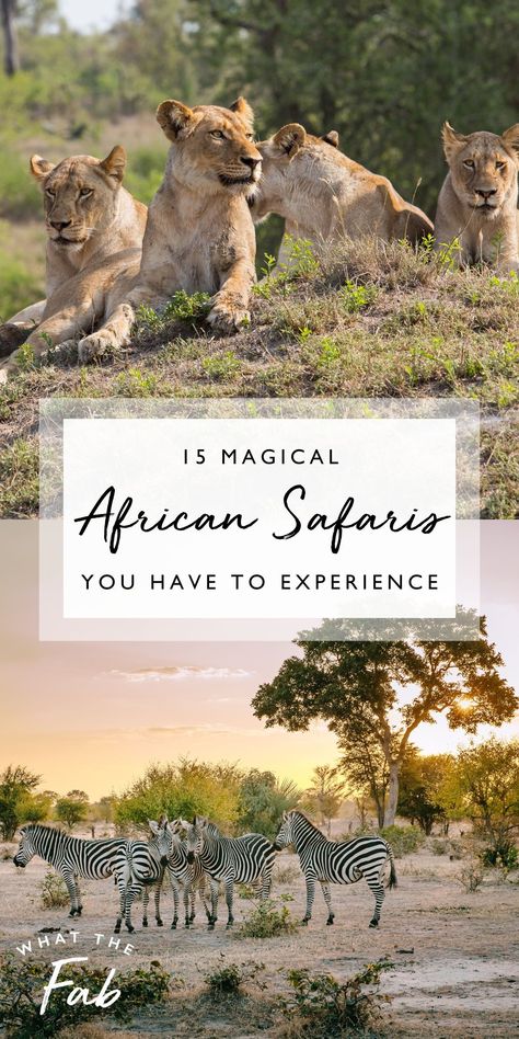 Tap into your wild side on a fun-filled African safari to spot wildlife, admire rugged landscapes, and immerse yourself in local cultures. Exploring Africa’s plains, coastlines, and mountains is an experience you’ll never forget. Grab your favorite travel companion or head out solo on one of these thrilling bucket list African safaris. Click the pin to see which African safaris are worth adding to your bucket-list!  African safari, African safaris, best African safaris African Safari Travel, African Mural, Job At Google, Vacation Vision Board, South Africa Beach, Best Beaches In Maui, Safari In Africa, Safari Photography, Safari Trip