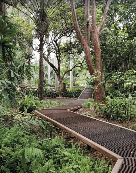 Forest Walkway Design, Farm Entrance Ideas, Suspended Walkway, Tropical Playground, Forest Entrance, Backyard Forest, Urban Public Space, Park Architecture, Urban Forestry