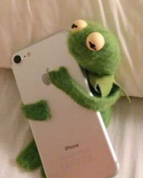 Kermit hugging phone is just so sweet! Sapo Kermit, Kermit Meme, Kermit Funny, Frog Meme, Frog Wallpaper, Cute Love Memes, Kermit The Frog, Reaction Pics, 웃긴 사진