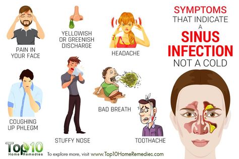 Sinus Infection Symptoms, Remedy For Sinus Congestion, Home Remedies For Sinus, Home Remedies For Bronchitis, Sinus Congestion Relief, Sinus Infection Remedies, Top 10 Home Remedies, Upper Respiratory Infection, Sinus Congestion