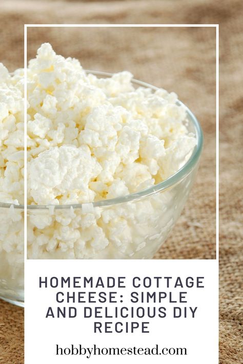 Homemade Cottage Cheese: Simple and Delicious DIY Recipe Home Made Cottage Cheese Recipes, How To Make Cottage Cheese, Home Made Cheese, Dry Cottage Cheese, Homemade Cottage Cheese, Cottage Meals, Cheese At Home, Diy Cheese, Cottage Cheese Recipes