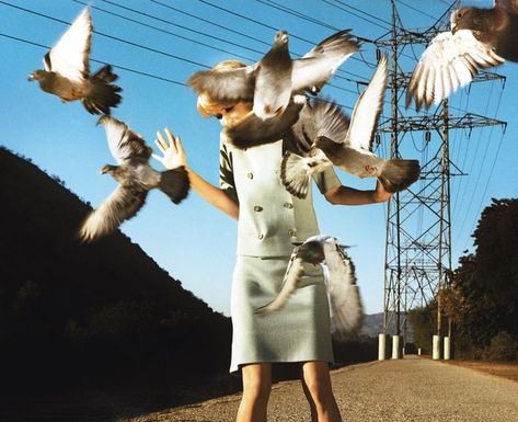 Alex Prager, William Eggleston, Diane Arbus, Cindy Sherman, Martin Parr, Foto Art, Alfred Hitchcock, Contemporary Photography, Cinematic Photography