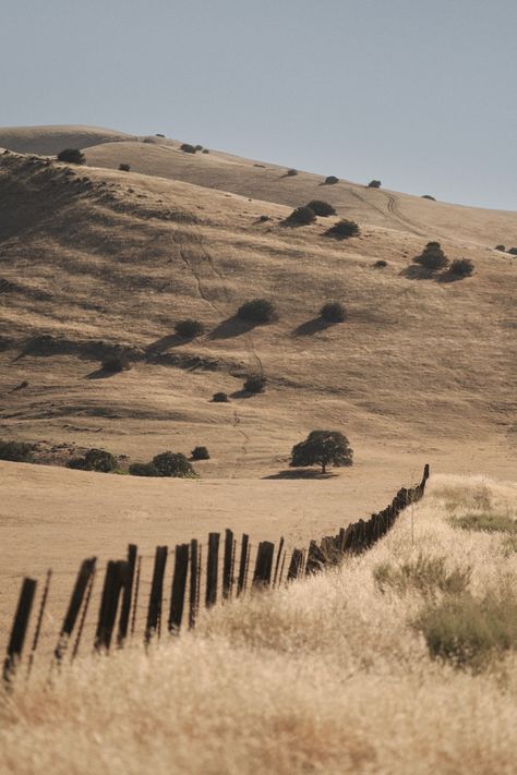 Rural California, 19th Century Aesthetic, Woodland Hills California, California Farm, Alternative Reality, Salinas California, California Hills, California Wallpaper, Food Vibes