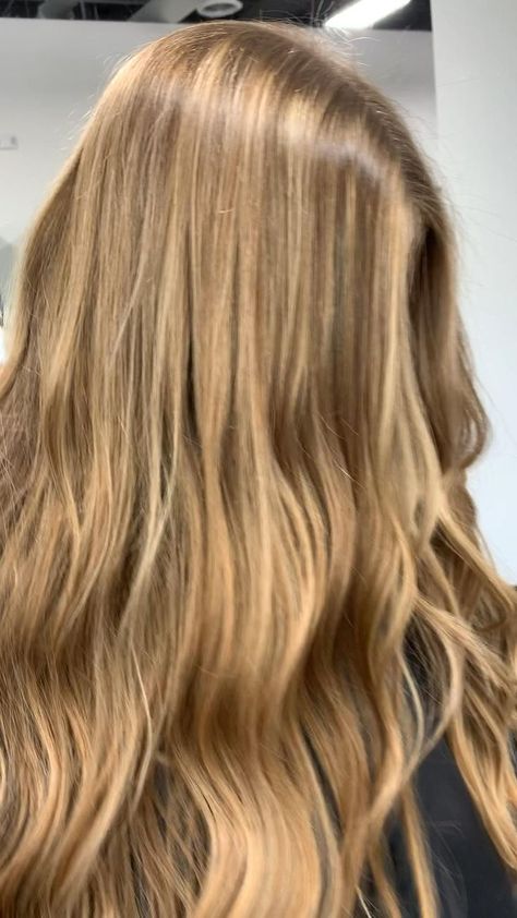 Warm Babylights, Golden Hair With Highlights, Dirty Blonde Hair With Highlights Honey, Golden Blonde Babylights, Golden Blonde Hair Balayage, Warm Blonde Balayage Honey, Golden Dark Blonde Hair, Honey Blonde Babylights, Honey Babylights