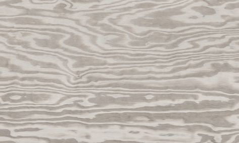 Laminate - Grey Plywood - Y0706 Scale Design, Wood Texture, Animal Print Rug, Plywood, Laminate, Tile, Texture, Lighting, Grey