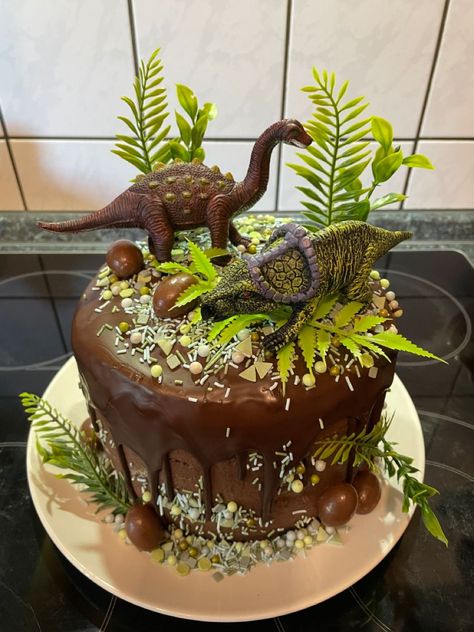 Dino Birthday Cake, Dino Cake, Summer Sweets, Dinosaur Birthday Cakes, Dino Birthday Party, 2 Birthday Cake, Dinosaur Cake, Kids Party Food, Easy Food Art