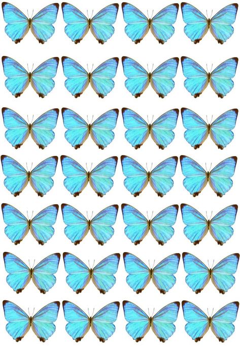 Diy Cake Topper Printable, Butterfly Baby Shower Theme, Happy Birthday Foil Balloons, Happy Birthday Cards Diy, Butterfly Cake Topper, Blue Butterfly Wallpaper, Big Butterfly, Birthday Cake Topper Printable, Butterfly Template