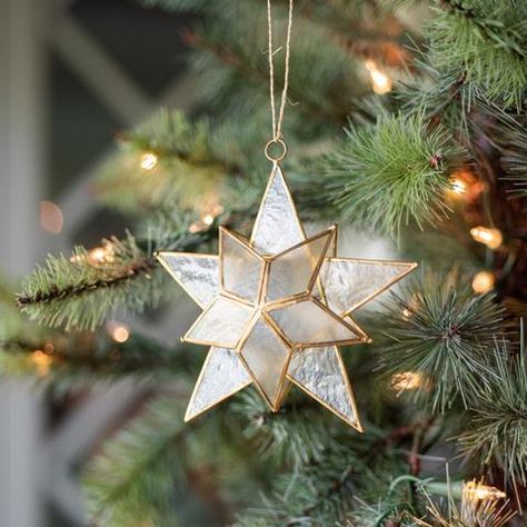 Capiz Star Ornament Christmas Magnolia, Apothecary Shoppe, Surviving Christmas, Enchanted Christmas, Magnolia Market, Christmas Tree Inspiration, Black Christmas Trees, Star Christmas, Quotes Inspiring