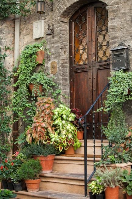 Front Door Steps, 30 Ideas for Decorating with Flowers Front Steps Plants, Flowers On Doorstep, Stone Steps Front Door Entryway, Steps Leading To Front Door, Plant Entrance Door, Front Door Planters, Frugal Gardening, Front Door Steps, Entry Stairs