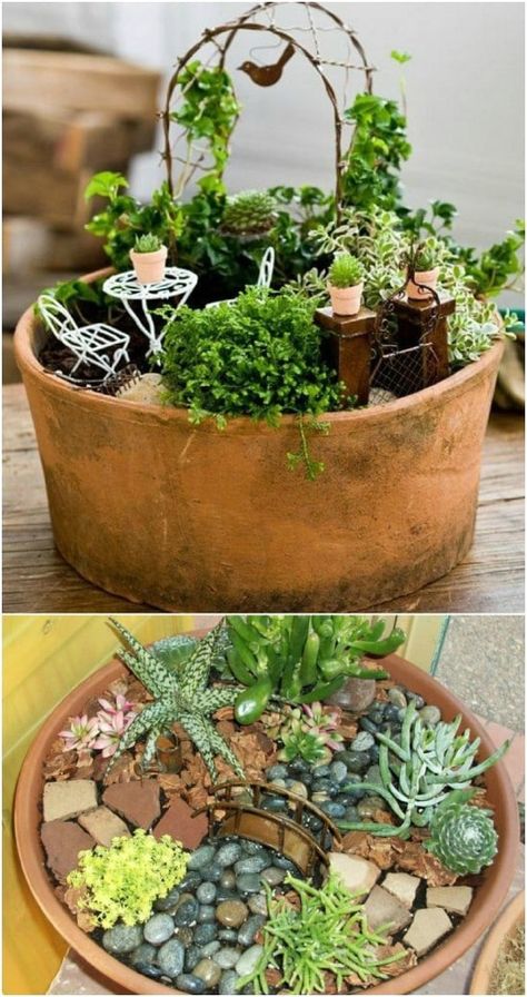 20 Magical DIY Fairy Gardens That Add Wonder To Your Home And Garden - Fairy gardens are so much fun and you just won’t believe how easy they are to make. In fact, I have collected 20 magical DIY fairy gardens that will help you to add wonder to your home and garden. #diy #crafts #decorating #garden #home #fairygardens #handmade #repurpose Fairy Garden Pots, Indoor Fairy Gardens, Fairy Garden Plants, Succulent Garden Design, Fairy Garden Designs, Fairy Garden Crafts, Succulent Garden Diy, Mini Fairy Garden, Dish Garden