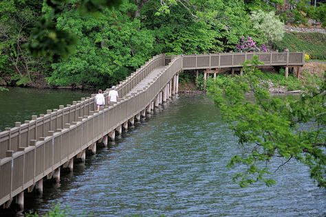 Accessible Hike Asheville Asheville Hikes, Lake Junaluska, North Carolina Travel, East Coast Road Trip, Pisgah National Forest, Nc Mountains, North Carolina Mountains, Hiking Spots, Blue Ridge Parkway