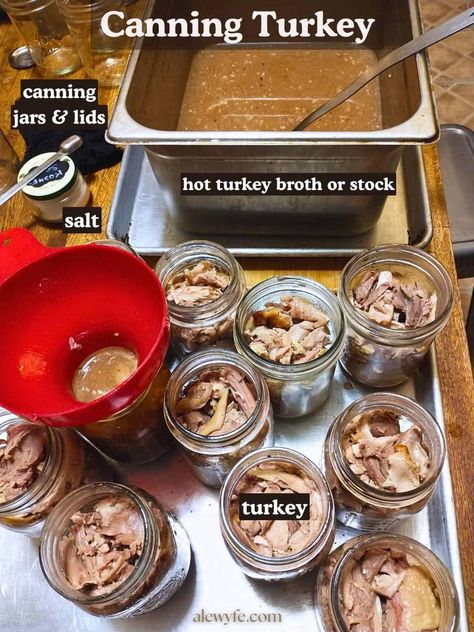 CANNING: How to Can a Whole Turkey (or three) - ALEWYFE Canning Turkey Meat, Canning Turkey, Dry Canning, Pantry Meals, Pressure Canning Recipes, Homemade Soups, Low Acid Recipes, Canning Food, Canning Jar Lids