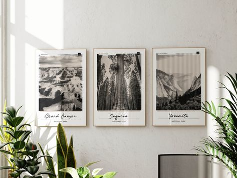 National Parks Poster Bundle Set of 3 Black + White Prints Arizona + California Travel Decor Neutral Outdoorsy Wall Art Gift for Traveler - Ships same day - Printed using premium quality materials - Shop with confidence! We are a 5-star rated shop operating since 2013 - 11x17 Inch poster on premium pro luster 270 gsm paper. White border included Select individually or get all three prints in one discounted bundle pack. Travel in style! Let this neutral National Park print set serve as a majestic National Park Posters Wall, Outdoorsy Wall Art, Modern Lodge Dining Room, Travel Picture Wall, National Park Bedroom, Pnw House, Outdoorsy Decor, National Park Decor, Travel Photo Wall