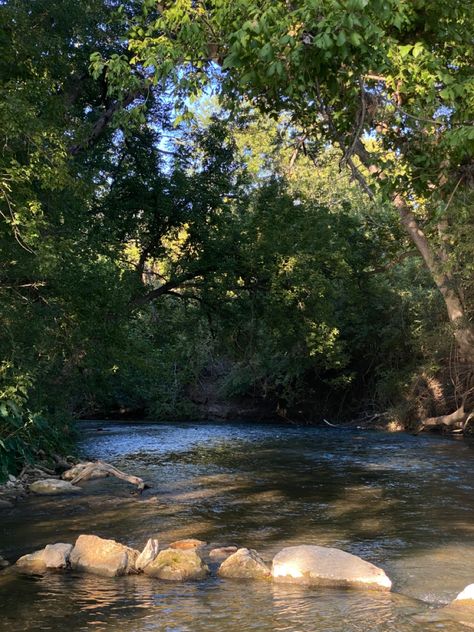 San Marcos River • Views • River San Marcos River, Usa Rivers Map, River Styx Ferryman, Great River Road, Withlacoochee River, Summer Mood, Old Florida, Mood Board, Florida