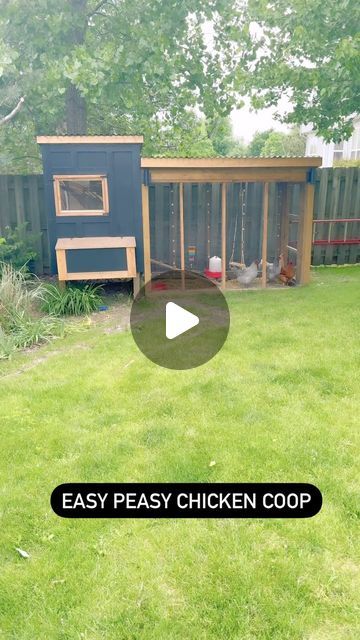 HomeDIY on Instagram: "DIY chicken coop with plans available in bio. Also have  longer video on my linktree with a slower walkthrough 👍 #diyproject #chickencoop #coop #homediy #build #diy #backyardchickens #homestead #howto #tutorial" Diy Chicken Coop Building, Diy Chicken Coop Simple, Diy Chicken Run Ideas, Inside Chicken Coop Designs, Chicken Coop Designs Diy Cheap, Homemade Chicken Coop, Easy Diy Chicken Coop Plans, Inside Chicken Coop, Easy Diy Chicken Coop