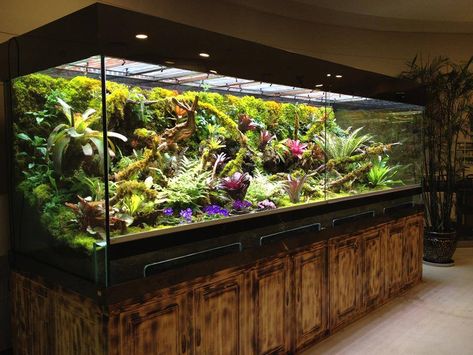 Over the top terrarium... WOW!! Tropical Vivarium, Arboreal Terrarium, Closed Terrarium Animals, Arboreal Vivarium, Terrestrial Tarantula Enclosure, Frog Terrarium, Fish Tank Terrarium, Aquarium Terrarium, Aquarium Landscape