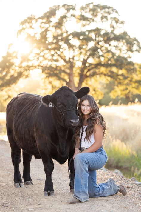 Show Steer, 4H Photoshoot, Ranch Photography, Equine Photographer Barn Senior Pictures, Farm Senior Pictures, Golden Hour Photoshoot, Cute Senior Pictures, Show Cows, Cow Photography, Cow Photos, Show Cattle, Country Senior Pictures