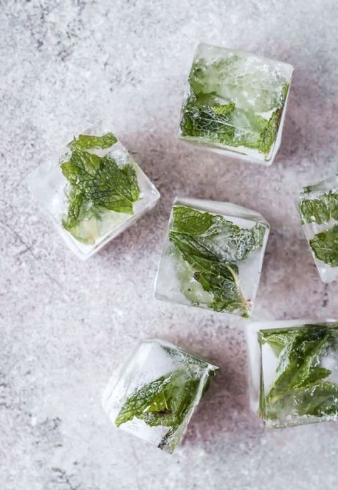 Instead of typical ice cubes, freeze mint, cucumber, lemon or lavender inside. Lemon Ice Cubes, Ginger Lemonade, Lemon Ice, Easy Tricks, Lemon Lemonade, Milk Shakes, Soft Glam, Glam Wedding, Fresh Mint