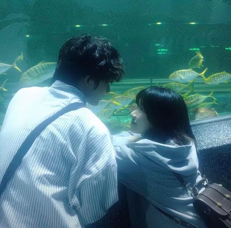 Aquarium Date, Japanese Couple, Dream Dates, Feeling Wanted, Cute Couple Dp, 사진 촬영 포즈, Creative Profile Picture, Love You Very Much, Types Of Relationships