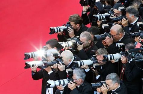 Press Area - Festival de Cannes Red Carpet Aesthetic, Famous Lifestyle, Festival Aesthetic, French Films, Yacht Charter, Movie Premiere, Tv On The Radio, Walk Of Fame, Cannes Film Festival