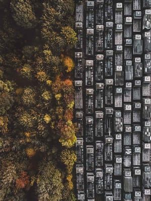 Man Vs Wild (abandoned trucks and autumn trees in Nottingham) Man Vs Wild, Man Vs Nature, Bizarre Photos, Aerial Photography Drone, Drones Concept, Planet Design, Aerial Arts, Aerial Drone, Photography Beach