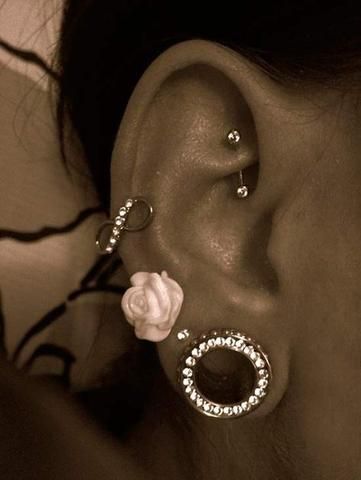 Cute Piercings Ideas, Piercings Ideas Face, Small Ear Gauges, Ear Piercing Combinations, Unique Ear Piercings, Piercings Ideas, Types Of Ear Piercings, Ear Piercings Helix, Face Piercings