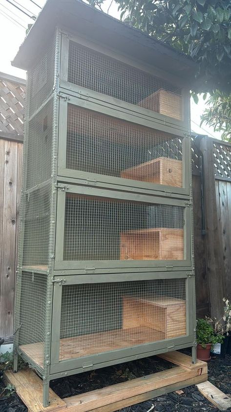 All about Quail! | My husband spent the last 3 weeks building our quail cage | Facebook Quail Shelter, Natural Quail Habitat, Diy Quail Coop, Quail Cage Plans, Quail Pen, Quail Cage, Button Quail, Quail Coop, Animal Cage