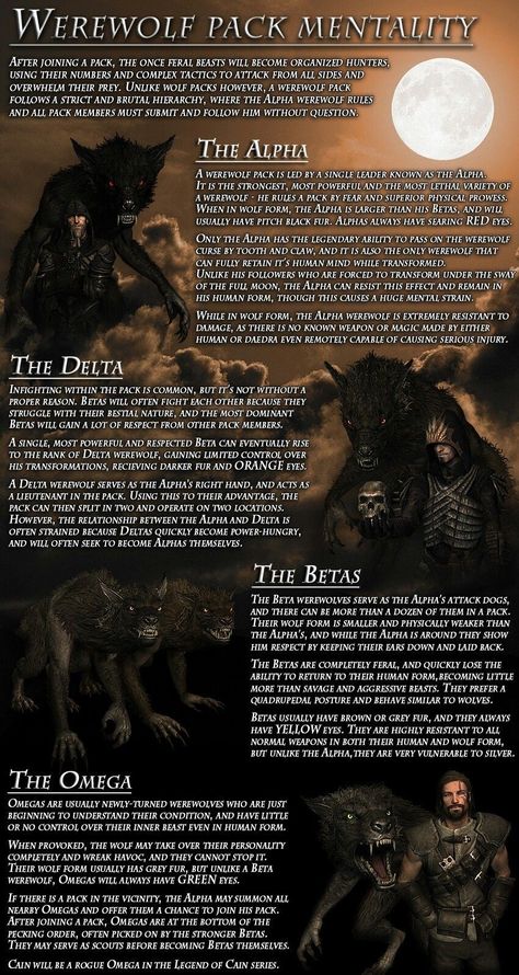 Lycan Vs Werewolf, Vampires Vs Werewolves, Werewolf Pack Art, Werewolf Information, Werewolf Family Art, How To Write A Werewolf, Pack House Werewolf, Werewolf Hierarchy, Skyrim Werewolf Art