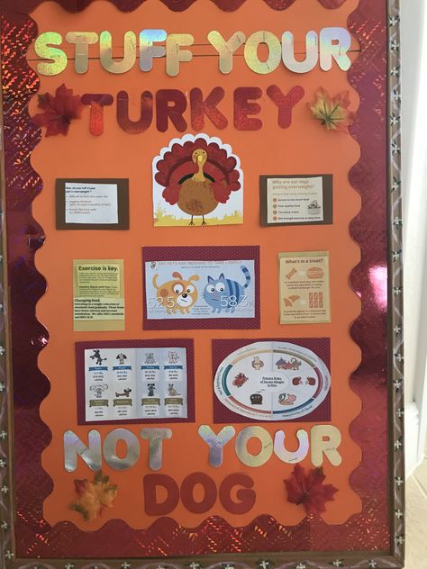 Pet educational board for November Vet Bulletin Board Ideas, Veterinary Bulletin Board Ideas, Vet Clinic Bulletin Board Ideas, Veterinarian Office Decor, Vet Clinic Halloween Decor, Puppy First Vet Visit Board, Veterinary Clinic Ideas, Vet Clinic Client Education, Veterinarian Office