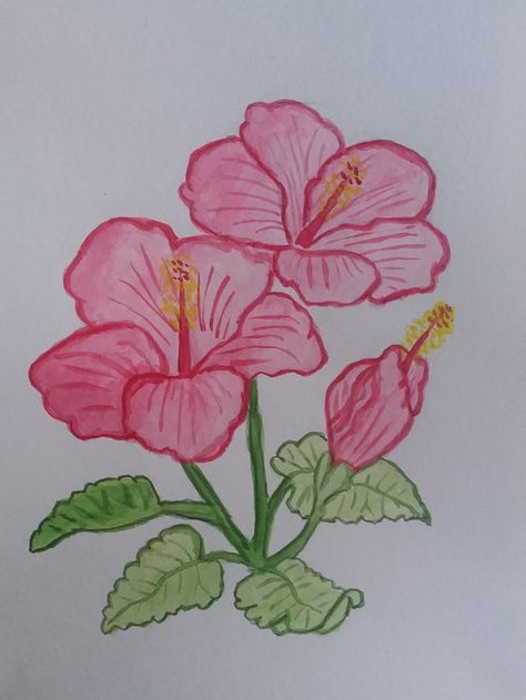 Easy Line Paintings, Hibiscus Flower Painting Acrylics Easy, Hibiscus Flower Drawing Watercolor Painting, Painting Ideas Hibiscus, Chinese Hibiscus Flower, Flawores Drawing, Hibiscus Flower Doodle, Drawing Of Hibiscus Flower, Colored Flowers Drawing