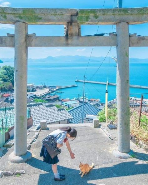 Japanese Countryside, Japan Summer, Japanese Photography, Scenery Photography, Japon Illustration, Japanese Landscape, Human Poses Reference, Japan Photo, Japanese Aesthetic