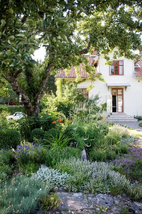 Old School Building, Swedish Garden, Swedish Summer House, Nordic Garden, 25 Beautiful Homes, Old Schoolhouse, Shop Layout, House Interiors, School Building