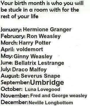 no-NO! NOT UMBRIDGE! NO NO NO NO NO NO NO! I AM LEGIT GOING TO KILL SOMETHING. Harry Potter Movie, Neville Longbottom, Fred And George Weasley, Potter Facts, Bellatrix Lestrange, George Weasley, Harry Potter Facts, Ginny Weasley, Harry Potter Things