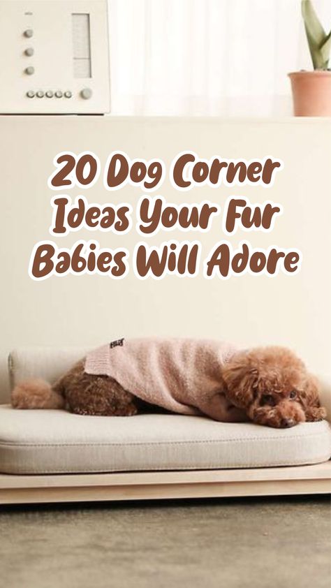 Dog Bed Decor Spaces, Small Dog Corner Ideas, Dog Bed Corner In Bedroom, Pet Bed In Bedroom, Dog Space Apartment, Dog Beds Ideas, Diy Dog Corner Ideas, Dog Bed In Bedroom Ideas, Dog Nook In Bedroom